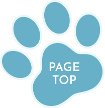 pagetopに戻る